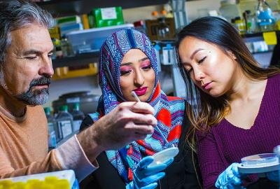 Biology - Pre-Medical Professions, BS